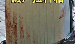 邓州拉杆箱藏尸最新爆料,最新爆料揭露惊人内幕